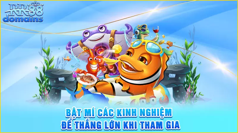 Nhiều chế độ để trải nghiệm