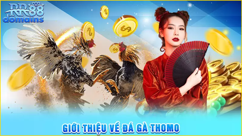 Giới thiệu về đá gà Thomo