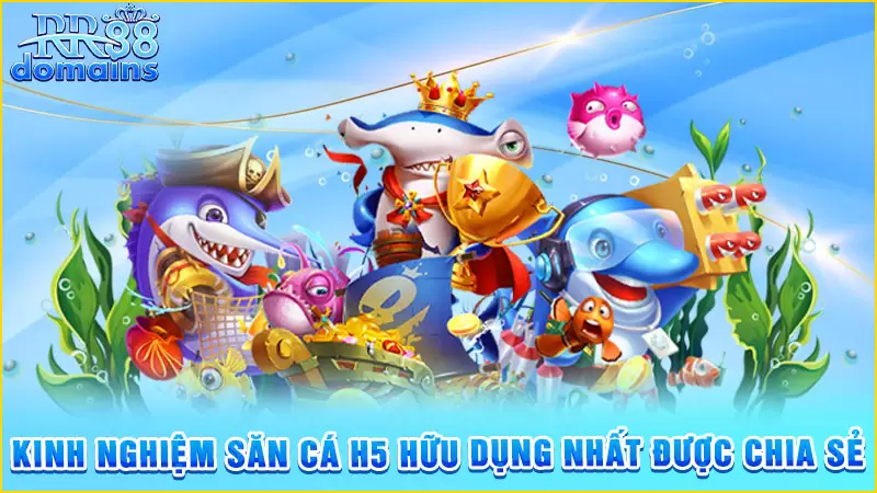 Kinh nghiệm săn cá hiệu quả