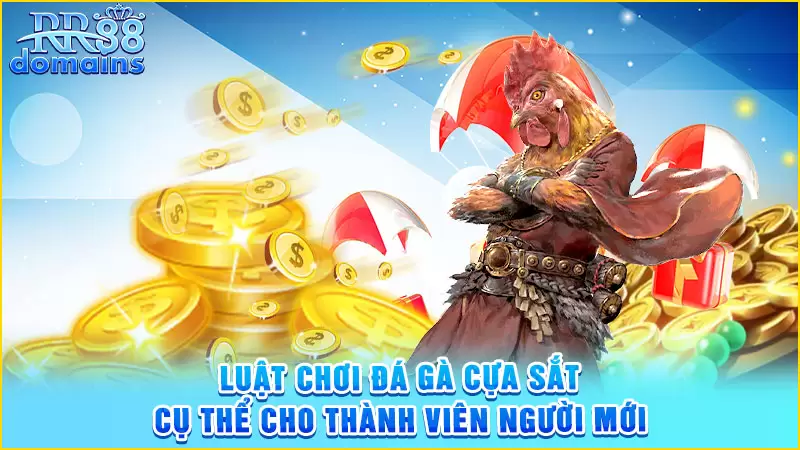Luật chơi đá gà cựa sắt cụ thể cho thành viên người mới