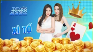 xì-tố